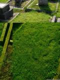 image of grave number 171987